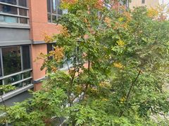 -复星星堡社区(中环二期店)