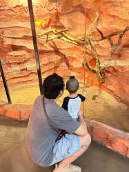 -Zoolung Zoolung动物主题公园(海信广场店)