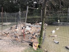 -前小桔亲子创意农场·草莓采摘·露营烧烤