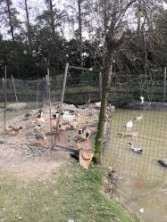 -前小桔亲子创意农场·草莓采摘·露营烧烤