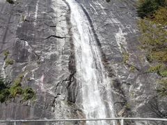 -朱雀国家森林公园