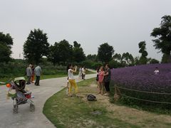 -秀丽东方
