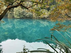-鼎湖山风景区
