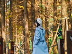 -重庆彩云湖湿地公园