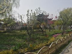-枫桥景区