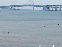 -星海湾跨海大桥