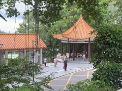 -深圳仙湖植物园