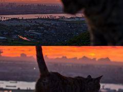 -圌山