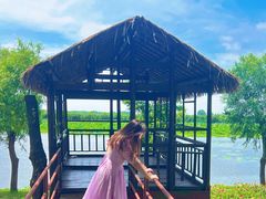 -洪湖生态旅游区