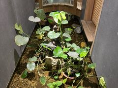 -邈墨茶馆(凤起路店)