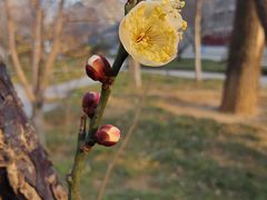 -山东大学(趵突泉校区)