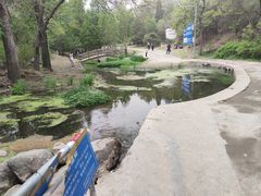 -白水寺森林公园