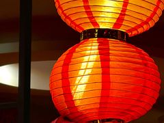 -芦月轩羊蝎子(劲松店)