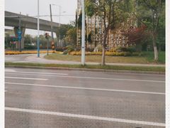 -九里河湿地公园