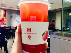 多肉西瓜-树夏(建设路店)
