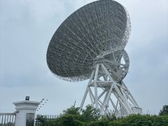 -上海佘山国家森林公园天马山园