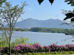 -福建鲤鱼洲酒店