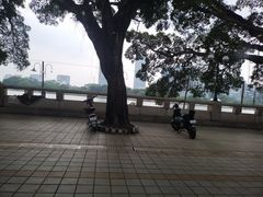 -仑头海鲜城(仑头环村南路店)