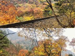 -北京上方山国家森林公园