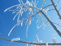 -绿野森林乐园冰雪季