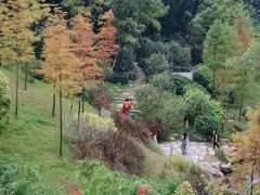 -云溪植物园