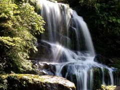 -龙苍沟森林公园
