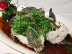 -潮福城大酒楼·潮味粤品·港式点心(湖滨北路店)