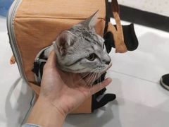 -荔康动物医院(康王北路店)