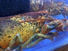 -白仁仔· 活烤海鲜 宵夜(豫园店)