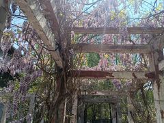-大悲禅寺