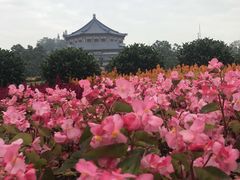 -广州中山纪念堂