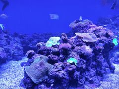 -成都浩海立方海洋公园