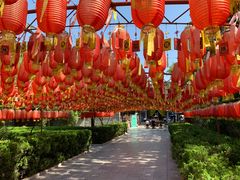 -大槐树寻根祭祖园