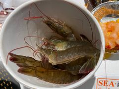 -SEA西雅图海鲜自助餐厅(海乐世界店)