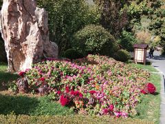 -金石唐风国际温泉会馆