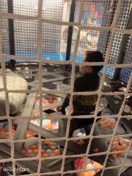 -龙小湖探索乐园 Little Hoo Galaxy(龙湖重庆金沙天街店)
