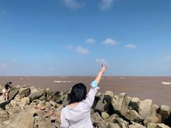 -南汇嘴观海公园
