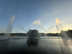 -东莞市虎英郊野公园