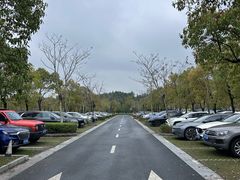 -仙霞关景区