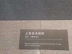 -亳州博物馆