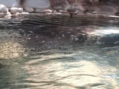 -云涛森林温泉