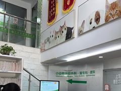 -爱侣宠医·鹦鹉专科·小型哺乳类·异宠专科(灵石路店)