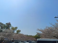 -弄堂里(滨江龙湖天街店)