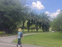 -莲花山公园