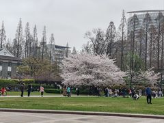 -复旦大学本部-食堂