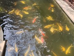 -湖鲜楼