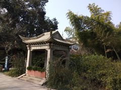 -常州古运河南大街文化旅游区-人民公园