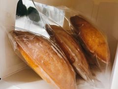 -猫里有甜