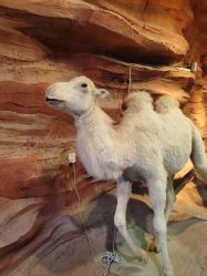 -酷嗒动物文化乐园(cutezoo西溪乐天城店)