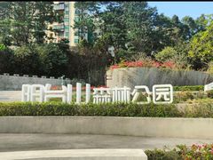-阳台山森林公园